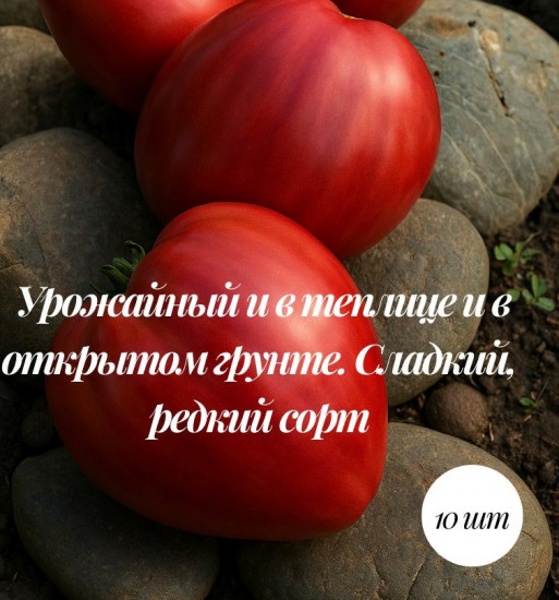 Коллекционные семена томата «Monkey ass»