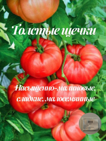 Коллекционные семена томата «Толстые щечки»