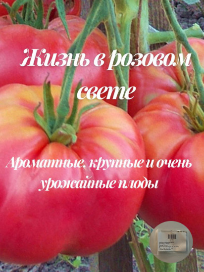 Коллекционные семена томата «Жизнь в розовом свете»