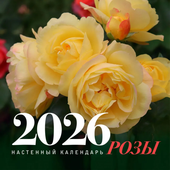 Календарь настенный на 2026 год «Розы»