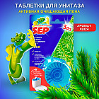 хвоя
