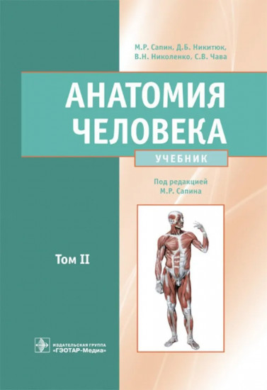 Анатомия человека. Том 2