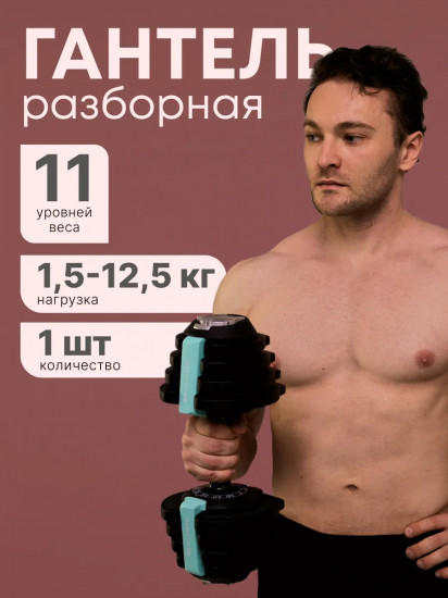 Гантель разборная многоуровневая
