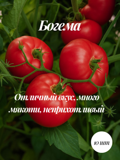 Коллекционные семена томата «Богема»
