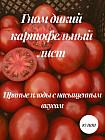 Коллекционные семена томата «Гном дикий картофельный лист»