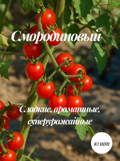 Коллекционные семена томата «Смородиновый»
