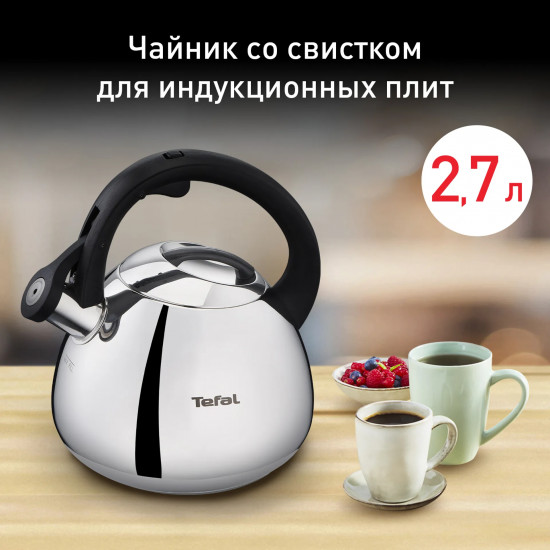 Чайник для плиты «Kettle»