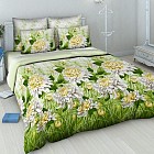 Комплект постельного белья «Хризантемы» (арт. 4559/1, евро, бязь, 2 наволочки 70х70)