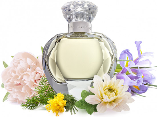 Парфюмированная вода «Moon Light»