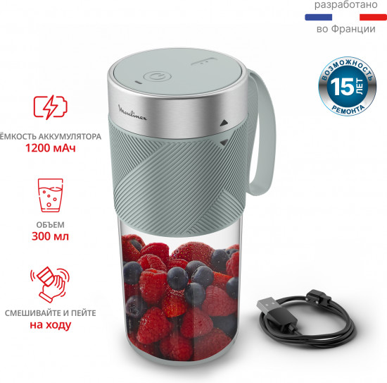 Блендер портативный Moulinex Lightmix LM1C0410