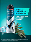 шалфей