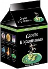 Набор для опытов «Дерево в кристаллах»