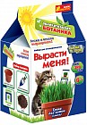 Набор для выращивания «Трава для котов»