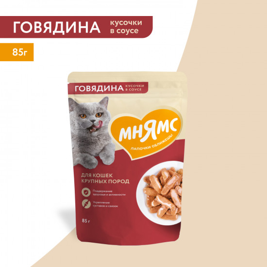 Корм для кошек «Кусочки в соусе с говядиной»