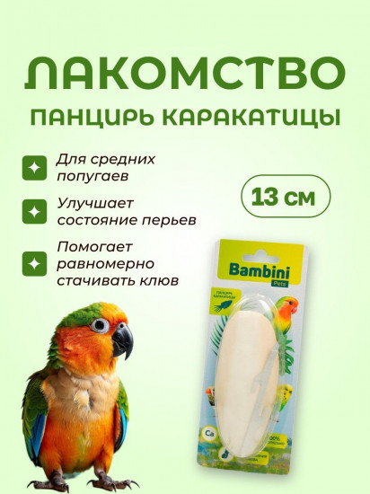 Лакомство для средних попугаев «Панцирь каракатицы»