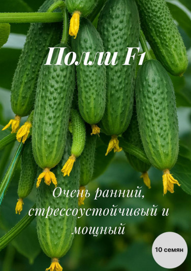 Семена огурца «Полли F1»
