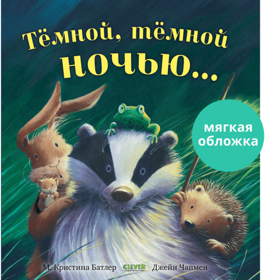 Тёмной, тёмной ночью…
