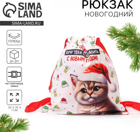 Рюкзак-мешок детский «Котик в шапке»