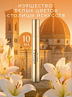 10 мл