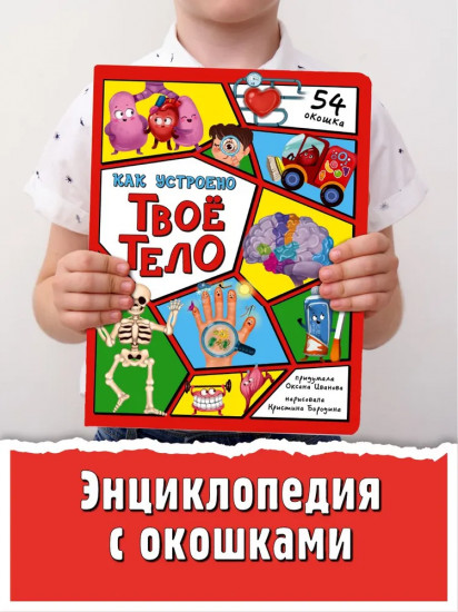 Как устроено твое тело. 54 окошка