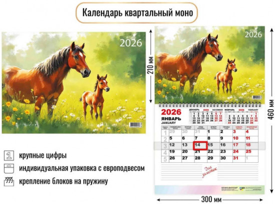 Календарь моно на 2026 год «Символ года»