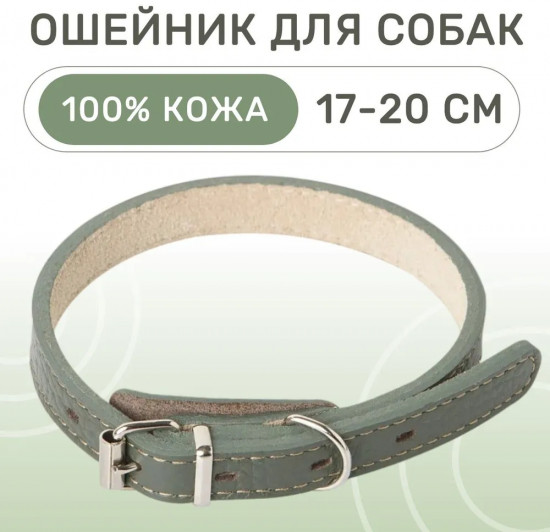 Ошейник для собак