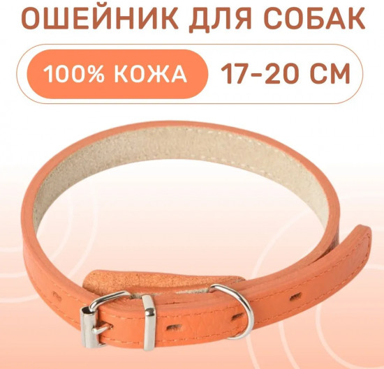 Ошейник для собак