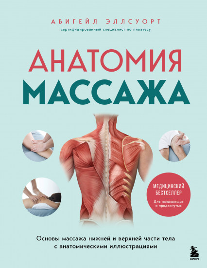 Анатомия массажа. Основы массажа нижней и верхней части тела