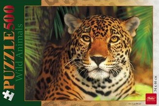 Леопард | Wild Animals | Hatber