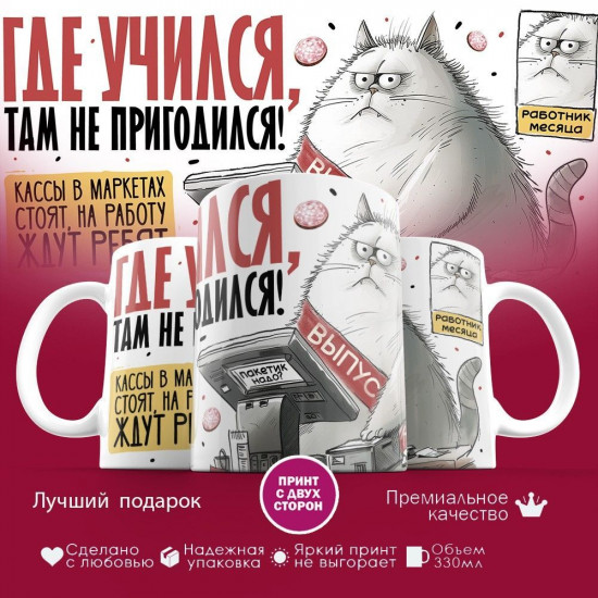 Кружка с принтом «Выпускник! Где учился, там не пригодился»