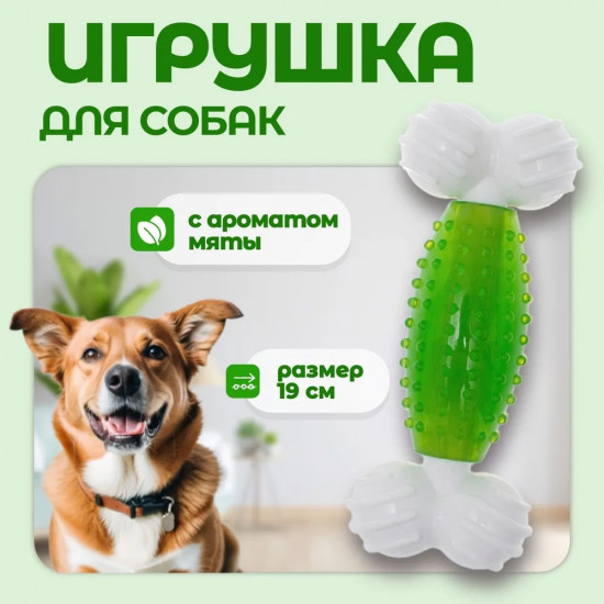 Игрушка для собак с ароматом мяты «Косточка с кольцом»