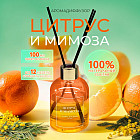 цитрус, мимоза