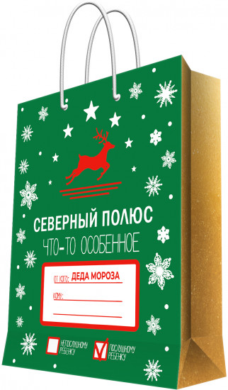Пакет подарочный