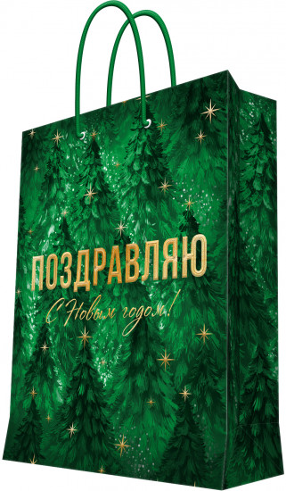 Пакет подарочный