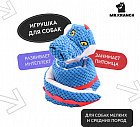 разноцветный 1