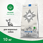 10 кг