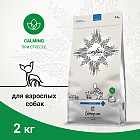 2 кг