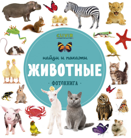 Животные