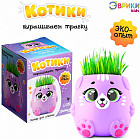 Набор для опытов детский «Котики. Выращиваем травку»