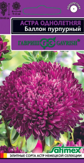 Семена «Астра Баллон пурпурный»