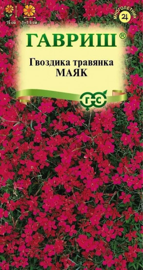 Семена «Гвоздика травянка Маяк»