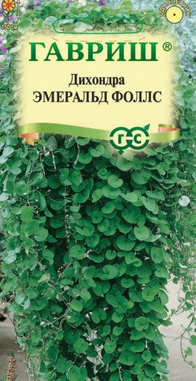 Семена «Дихондра Эмеральд Фоллс»