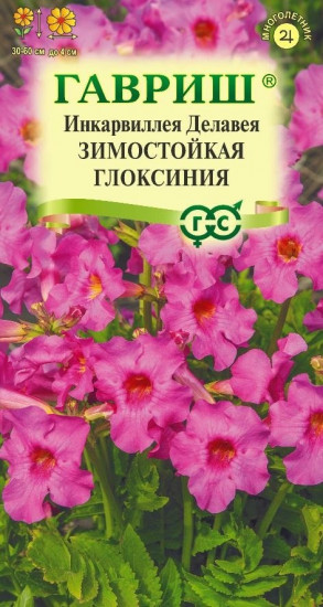 Семена «Инкарвиллея Делавея Зимостойкая глоксиния. Incarvillea delavayi»