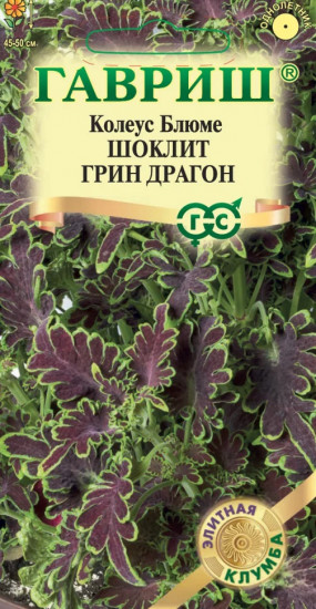Семена «Шоклит грин Драгон. Coleus blumei Benth»