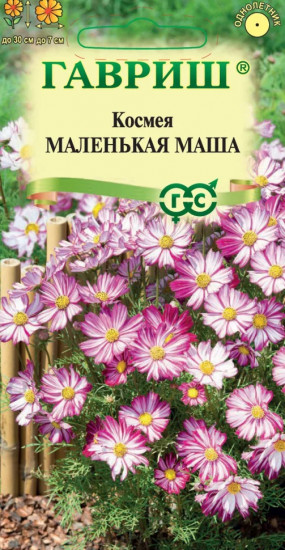 Семена «Колокольчик круглолистный Дюймовочка голубая. Campanula medium L»