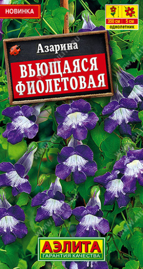 Семена азерины вьющейся «Фиолетовая»