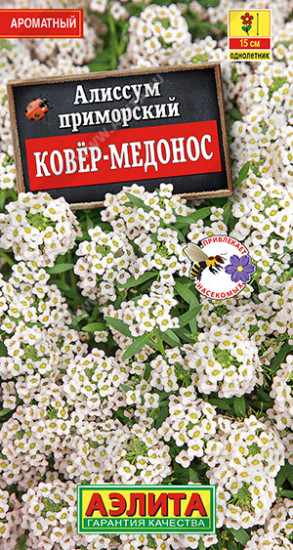 Семена алиссума «Ковёр-медонос»