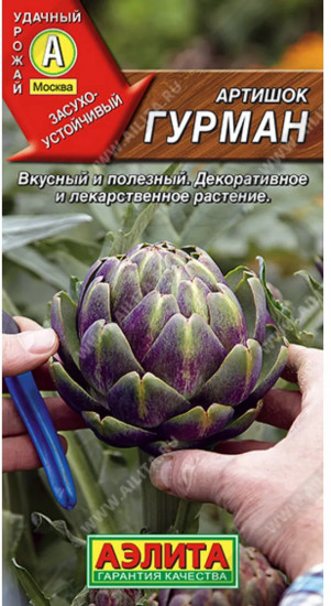 Артишок «Гурман»