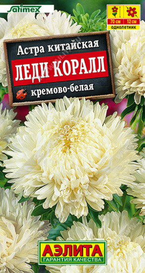 Семена астры «Леди Коралл кремово-белая»