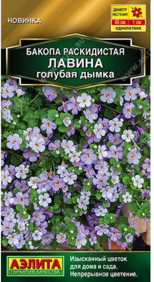 Бакопа раскидистая «Лавина голубая дымка»
